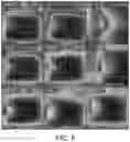 Fig. 10 - Apparatus for creating resonant standing waves in biological tissue
