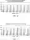 Fig. 12 - Apparatus for creating resonant standing waves in biological tissue