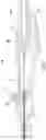 Fig. 53 - ELECTROPORATION SYSTEMS, METHODS, AND APPARATUS