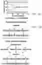 Fig. 10 - Systems and methods for determining optimal temporal patterns of neural stimulation