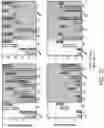 Fig. 19 - Systems and methods for determining optimal temporal patterns of neural stimulation