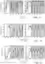 Fig. 20 - Systems and methods for determining optimal temporal patterns of neural stimulation