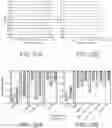 Fig. 22 - Systems and methods for determining optimal temporal patterns of neural stimulation