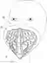 Fig. 01 - FACE MASK FILTER HOLDER