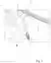Fig. 02 - Strap spring trampoline