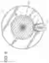 Fig. 07 - Dumbbell safety, defensive and alerting assembly
