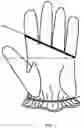 Fig. 02 - Method and System for Improving Golf Putting Accuracy Using a Birdie-Line Golf Glove and Straight-Edged Putter Grip