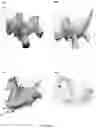 Fig. 09 - TOY
