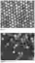 Fig. 03 - Surfactant