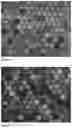 Fig. 04 - Surfactant