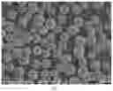 Fig. 03 - Magnetic polymer adsorption material, preparation method therefor and application thereof