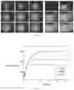 Fig. 08 - Microfluidic chip, apparatus, system, and control and preparation method therefor