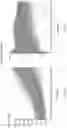 Fig. 19 - Microfluidic device for cell characterization