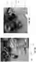 Fig. 06 - Multi-cartridge digital microfluidics apparatuses and methods of use