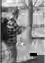 Fig. 06 - Ironwood Timber Marking Paint System