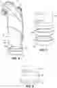 Fig. 06 - Offset showerhead filter