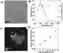Fig. 01 - Light-driven synthesis of plasmonic nanoparticles and nanomaterials