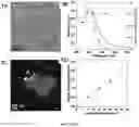Fig. 02 - Light-driven synthesis of plasmonic nanoparticles and nanomaterials