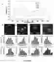 Fig. 06 - Light-driven synthesis of plasmonic nanoparticles and nanomaterials