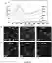 Fig. 09 - Light-driven synthesis of plasmonic nanoparticles and nanomaterials