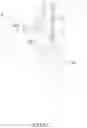 Fig. 33 - Cutting device