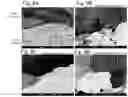 Fig. 09 - Electrically conductive tip member and method for producing the same