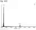 Fig. 19 - Electrically conductive tip member and method for producing the same