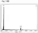 Fig. 28 - Electrically conductive tip member and method for producing the same