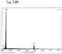Fig. 30 - Electrically conductive tip member and method for producing the same