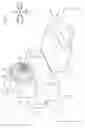 Fig. 02 - SPINDLE DEVICE AND MACHINE TOOL
