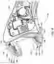 Fig. 18 - Ratcheting open jaw wrench