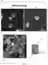 Fig. 06 - Multilayer polymer composite constructs