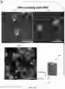 Fig. 07 - Multilayer polymer composite constructs