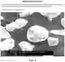 Fig. 09 - CELLULAR FOAM ADDITIVE
