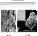 Fig. 22 - CELLULAR FOAM ADDITIVE