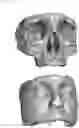 Fig. 02 - ANATOMICAL SILICON MODELS AND ADDITIVE MANUFACTURING THEREOF