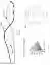 Fig. 25 - Optical structures providing dichroic effects