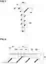 Fig. 04 - Tire