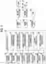 Fig. 02 - Vehicle control device and control method