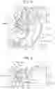 Fig. 07 - Vehicle side body structure