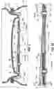 Fig. 03 - Constructive arrangement for the opening of a beverage can
