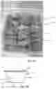 Fig. 08 - Grouped screw bunch and related method and machine for production of the same