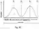 Fig. 11 - Grouped screw bunch and related method and machine for production of the same