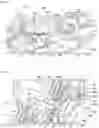 Fig. 02 - System and method for remote setting of a tension in a crane transfer cable