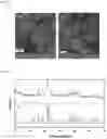 Fig. 07 - ONE-STEP SINGLE HEATER BASED FLOW SYNTHESIS SETUP FOR SYNTHESIS OF INORGANIC PARTICLES IN NEAR AMBIENT CONDITIONS