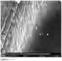 Fig. 10 - Electro-less production of silicon nanowires and plates in a solution