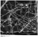 Fig. 22 - Electro-less production of silicon nanowires and plates in a solution