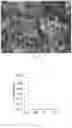 Fig. 05 - High-purity separation method of iron ions from an aqueous solution containing heavy metal ions