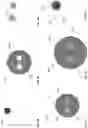 Fig. 06 - Infrared-transmitting, polarization-maintaining optical fiber and method for making