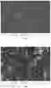 Fig. 02 - ARTICLE HAVING AMPHIPHOBIC COATING FILM AND METHOD FOR PREPARATION THEREOF